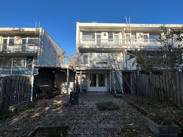 Marshallsingel 23005.JPG